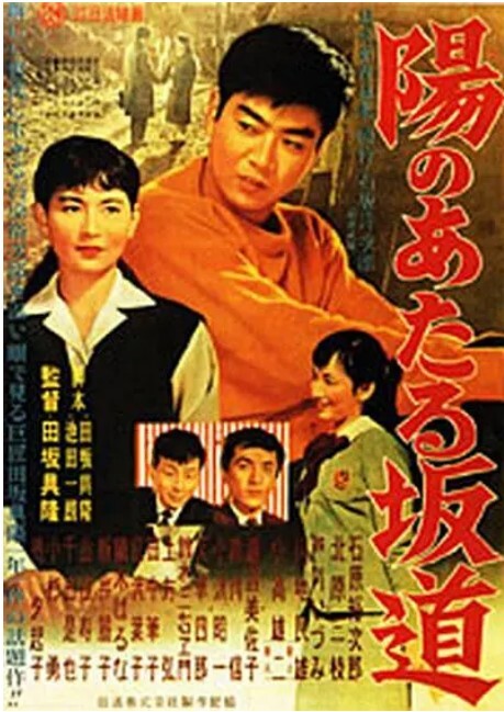 向阳的坡路 1958