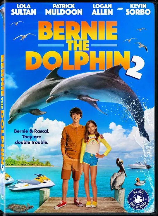 海豚伯尼2 2019