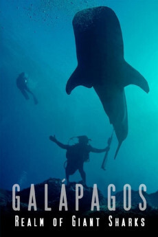 加拉帕戈斯群岛：巨大鲨鱼王国 2012