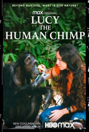 露西，人类黑猩猩